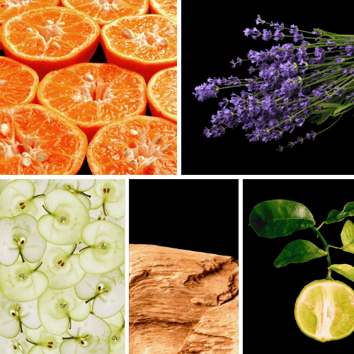 Preview: Duftnoten: Mandarine, Lavendel, Apfel, Guajakholz, Bergamotte